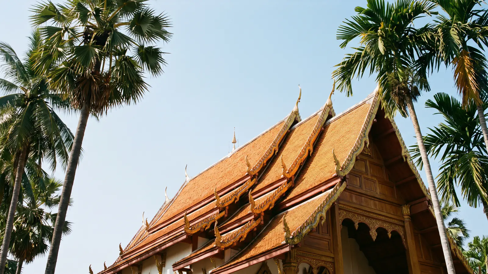 หลังคาซ้อนชั้นมุงกระเบื้องดินเผาของวิหารไทย ช่อฟ้าปิดทองตัดกับท้องฟ้าสดใส ขนาบด้วยต้นมะพร้าวและต้นตาล